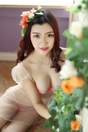 动物与人高清在线_BD英语在线播放