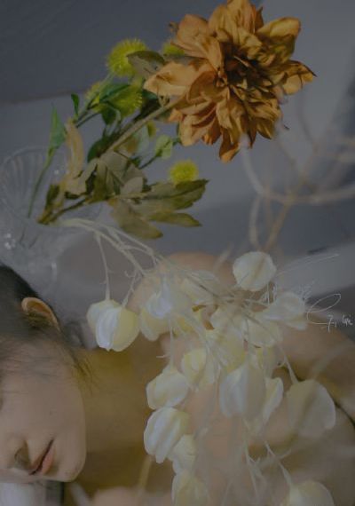 最近好看的2019免费观看_BD韩语免费全集观看
