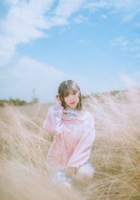 西瓜视频恢复旧版本_DVD免费电视剧