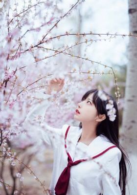 青青欧美视频_BD高清迅雷在线观看