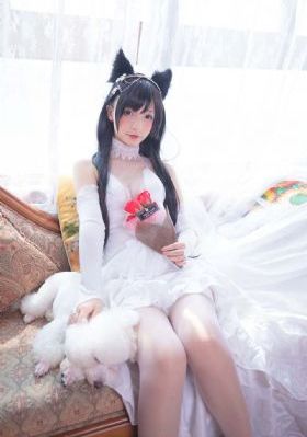 美剧致命女人_HD免费观看最新